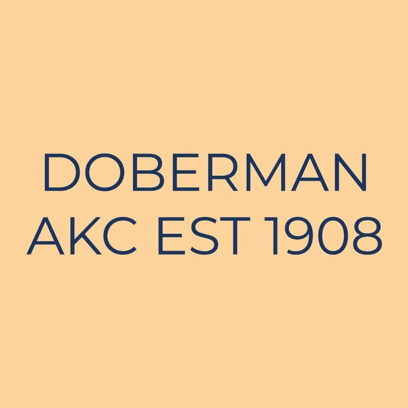 Doberman Pinscher Embroidered AKC Quarter Zip - Image 6