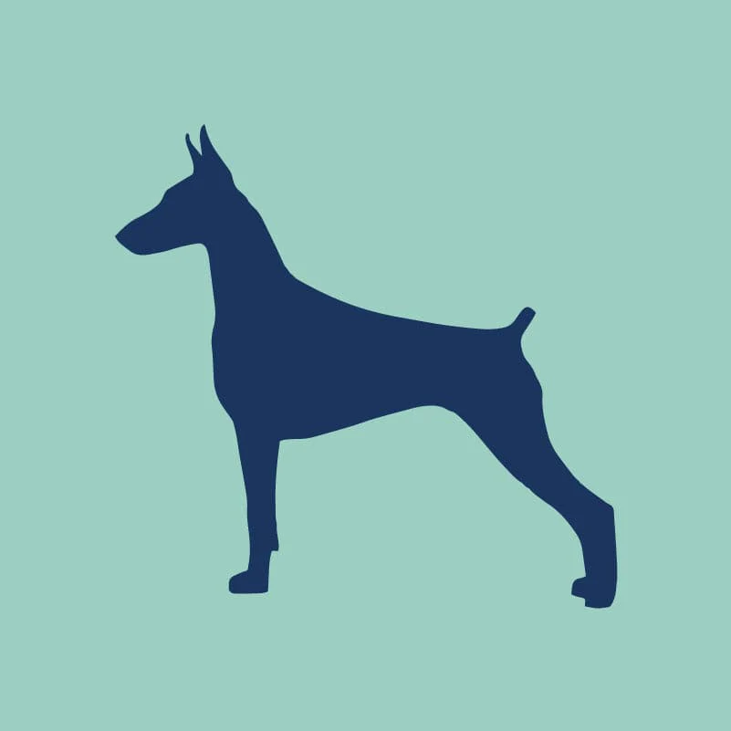 Doberman Pinscher Embroidered AKC Quarter Zip - Image 8