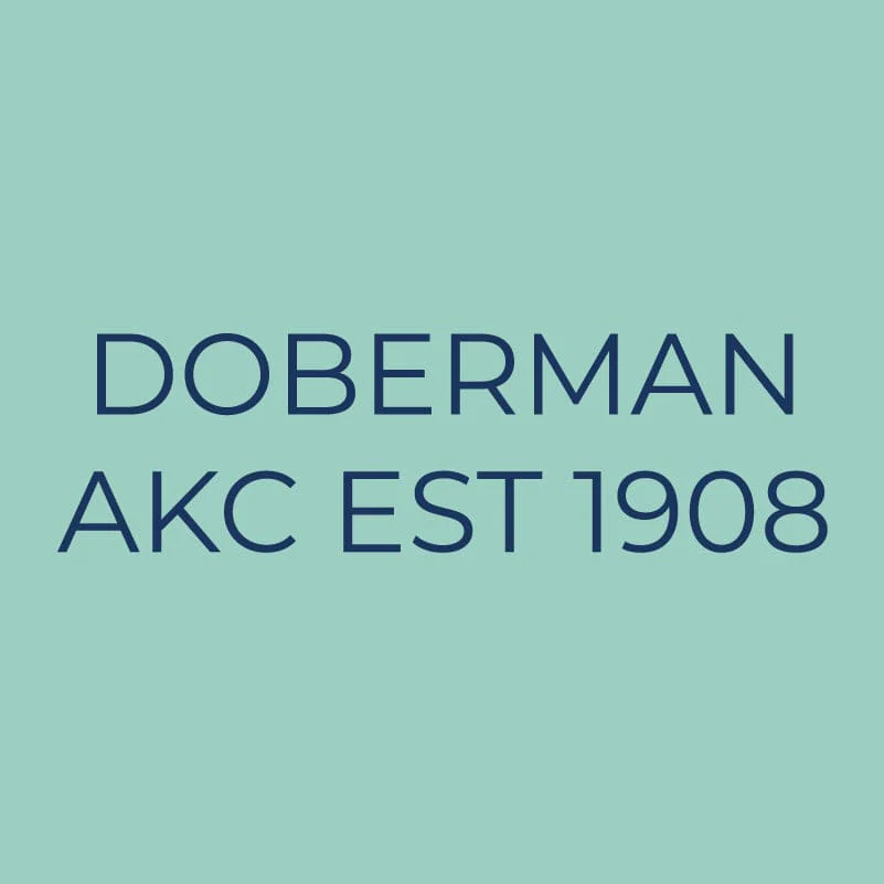 Doberman Pinscher Embroidered AKC Quarter Zip - Image 9