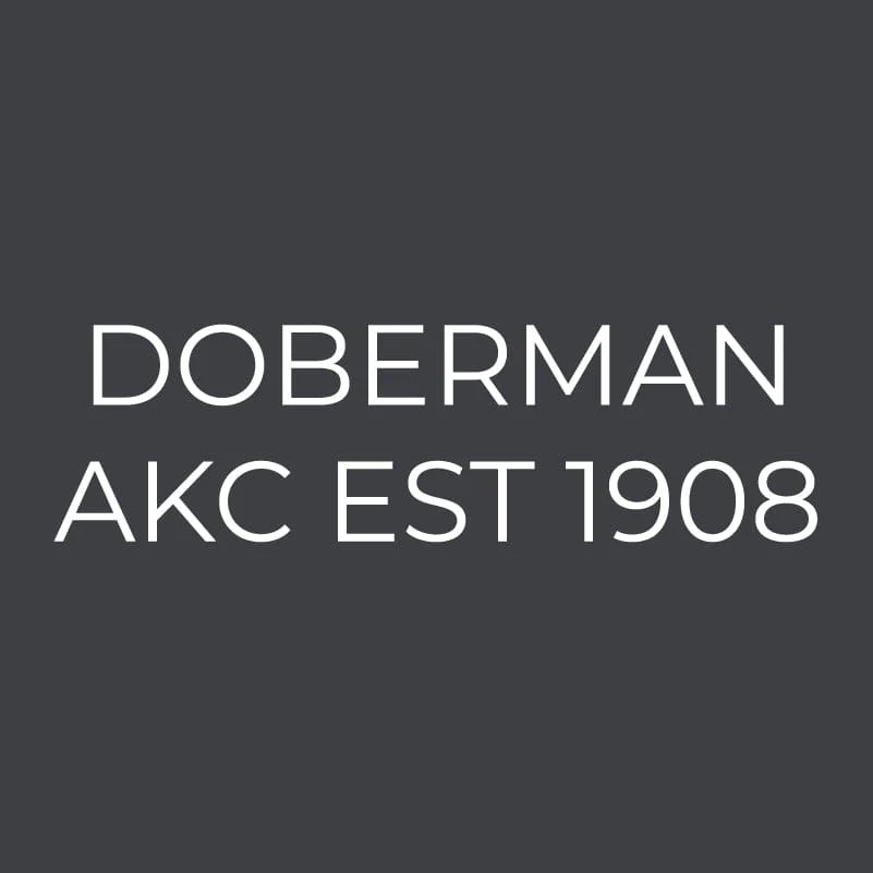 Doberman Embroidered AKC Women's Polo - Image 3