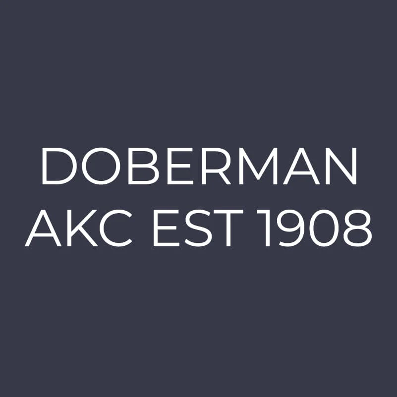 Doberman Embroidered AKC Women's Polo - Image 6