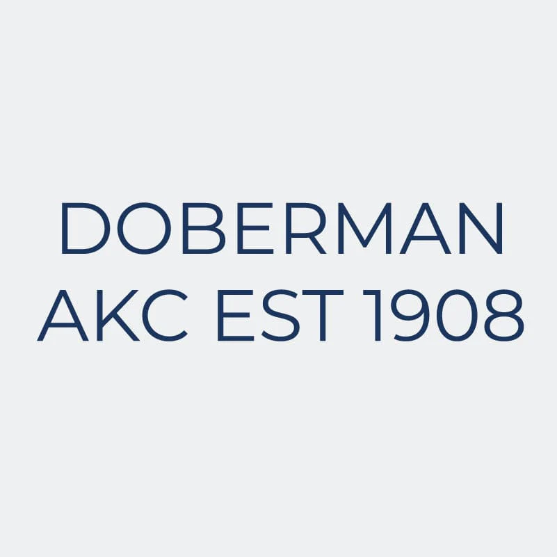 Doberman Embroidered AKC Women's Polo - Image 9