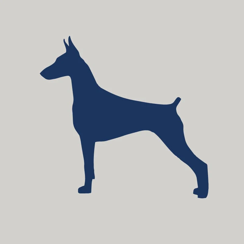Doberman Pinscher AKC Embroidered Visor - Image 2