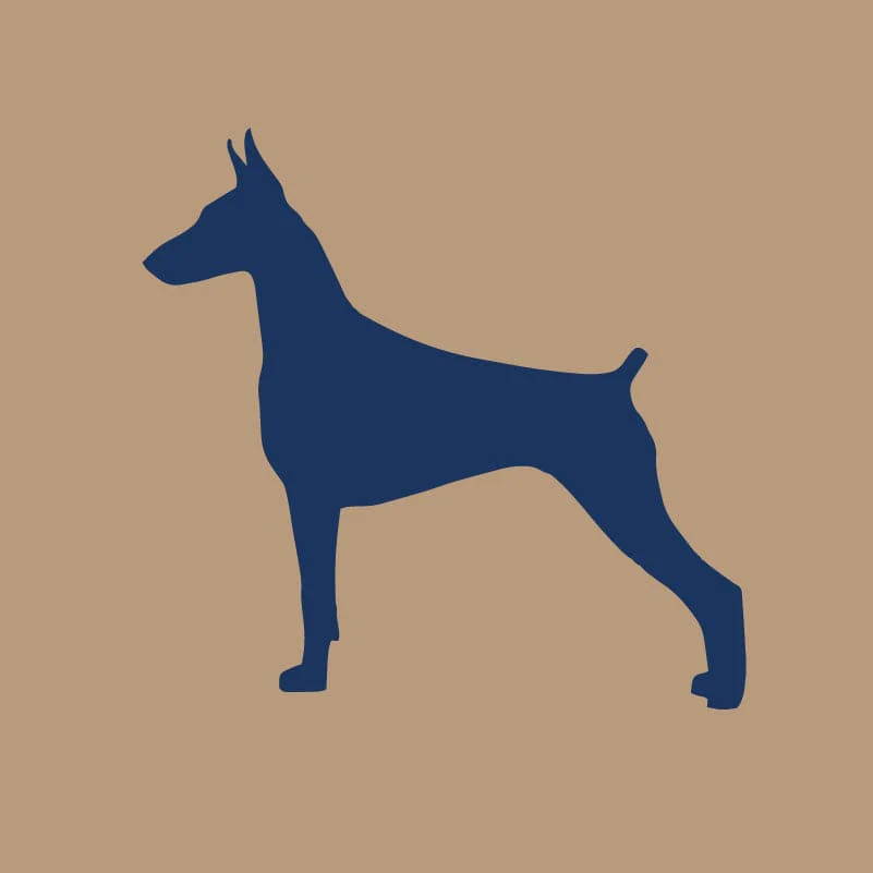 Doberman Pinscher AKC Embroidered Visor - Image 8