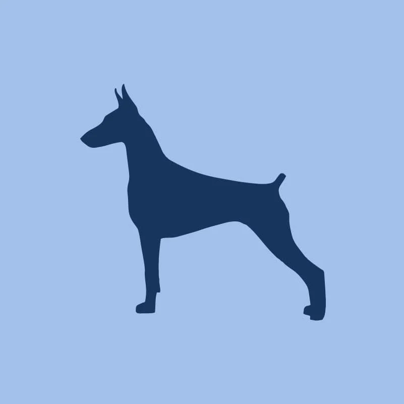 Doberman Pinscher Toddler Full Zip Sweatshirt - Image 5