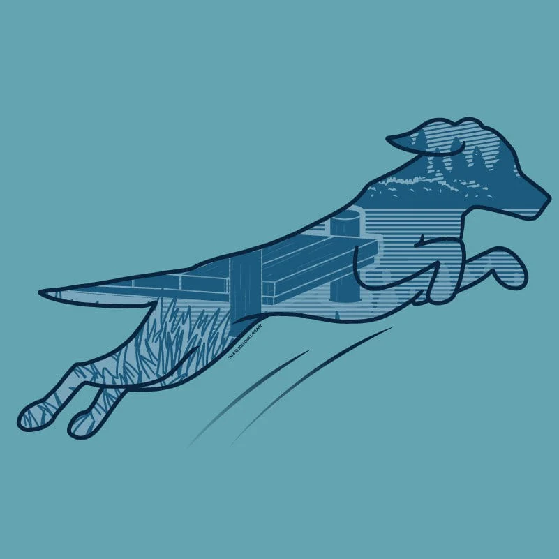 Dock Diving - Ladies Plus V-Neck Tee - Image 2