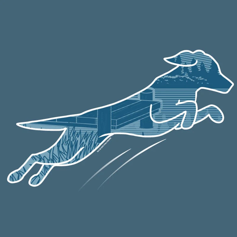 Dock Diving - Lightweight Tee - Image 2
