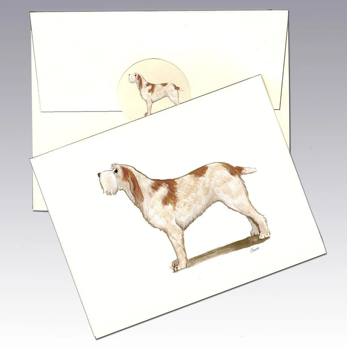 Spinone Italiano, Orange Note Cards