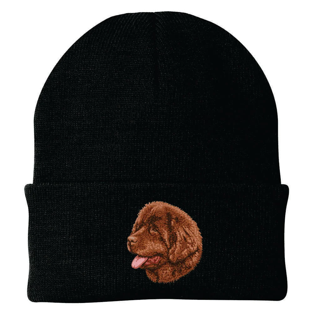 Newfoundland Embroidered Beanie - Image 2