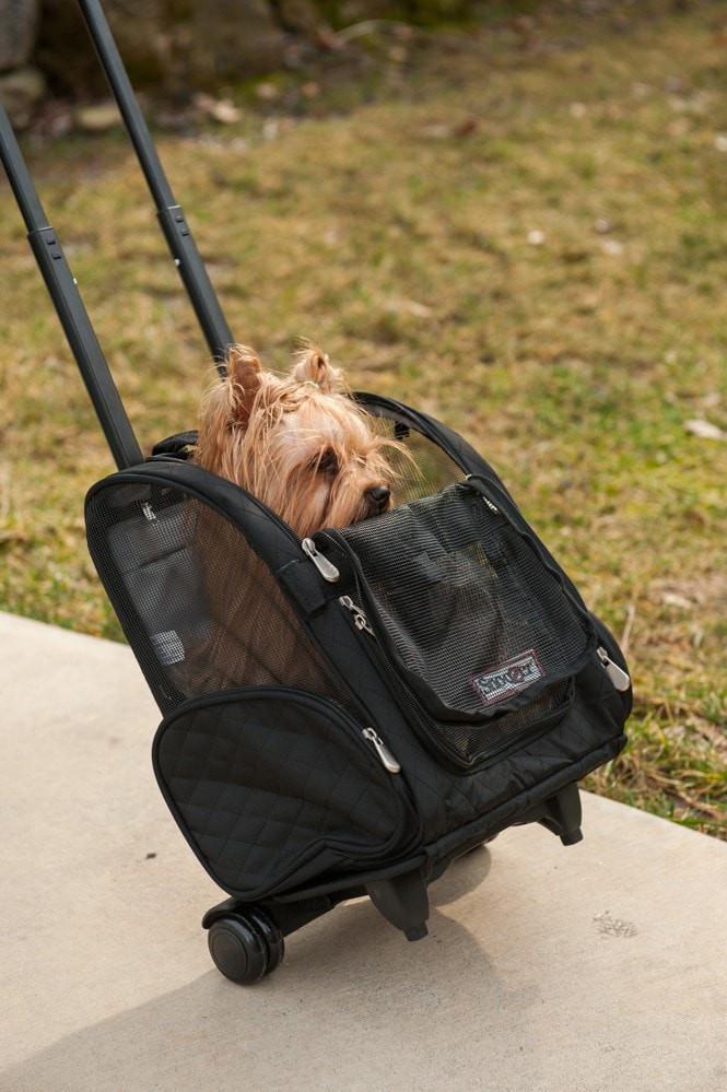 Roll Around Travel Dog Carrier Backpack - Image 2