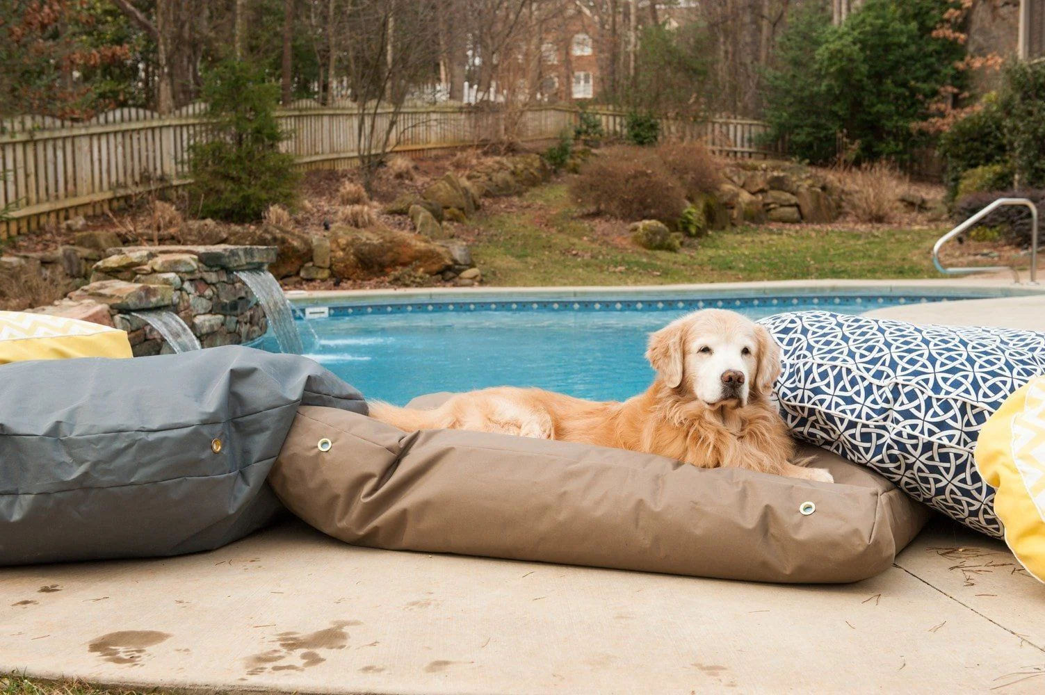 Waterproof Dog Bed - Image 11