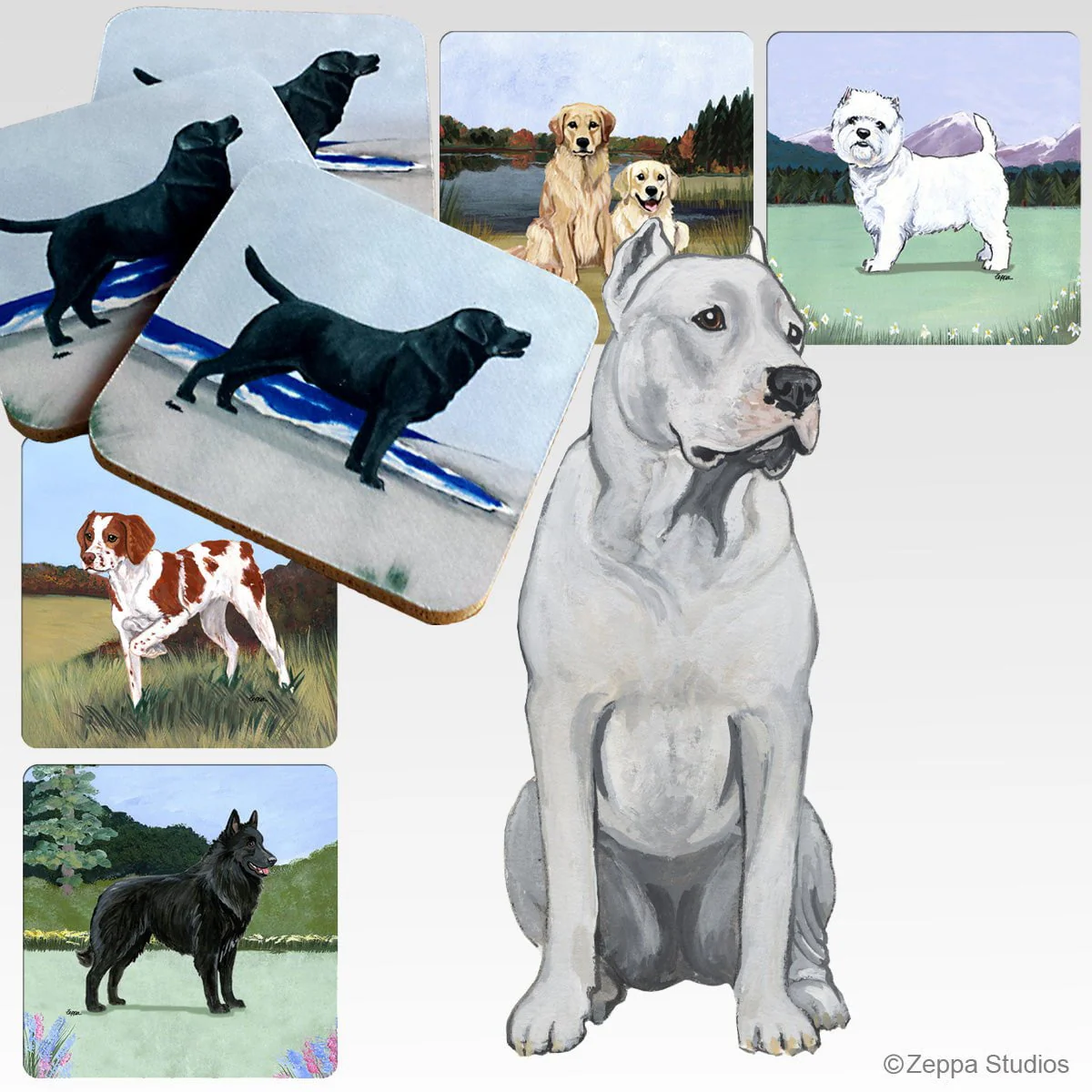 Dogo Argentino Scenic Square Coaster