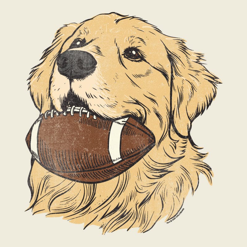 Fetch - Ladies T-Shirt V-Neck - Image 2