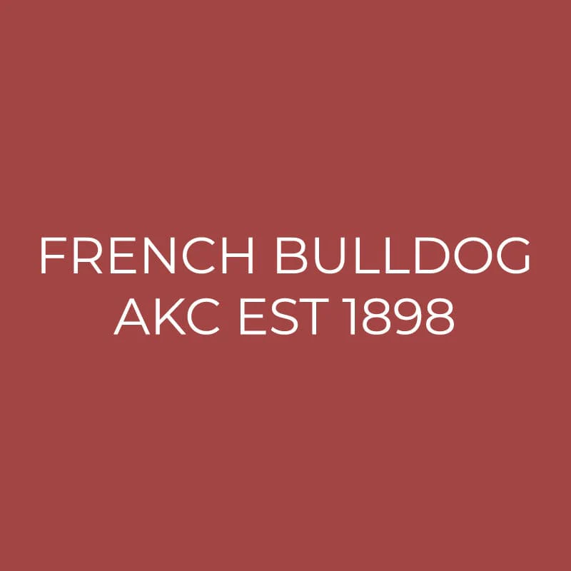 French Bulldog Embroidered AKC Quarter Zip - Image 12