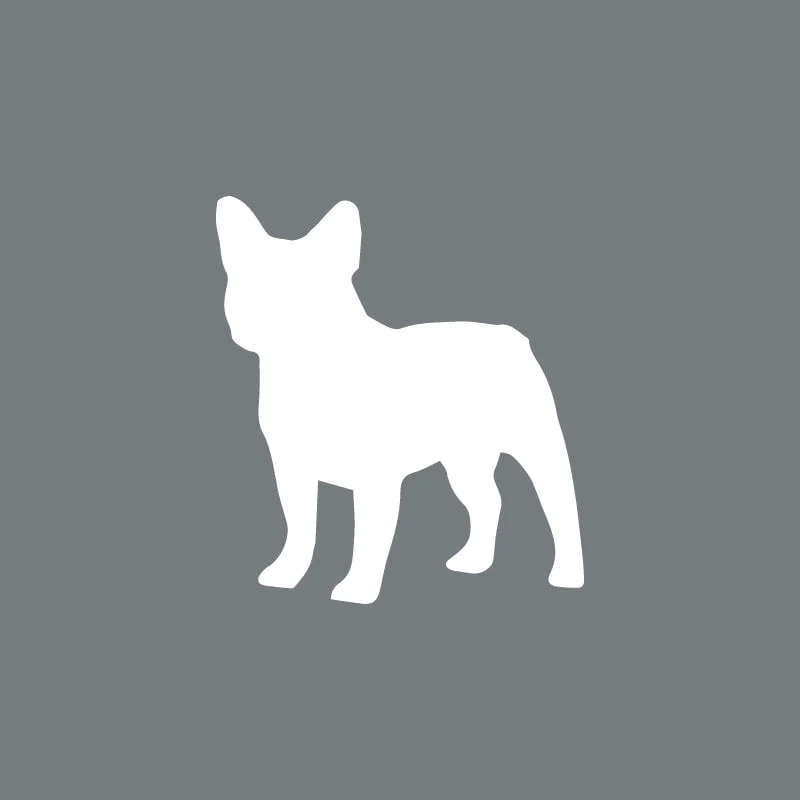 French Bulldog - Beanie - Image 2