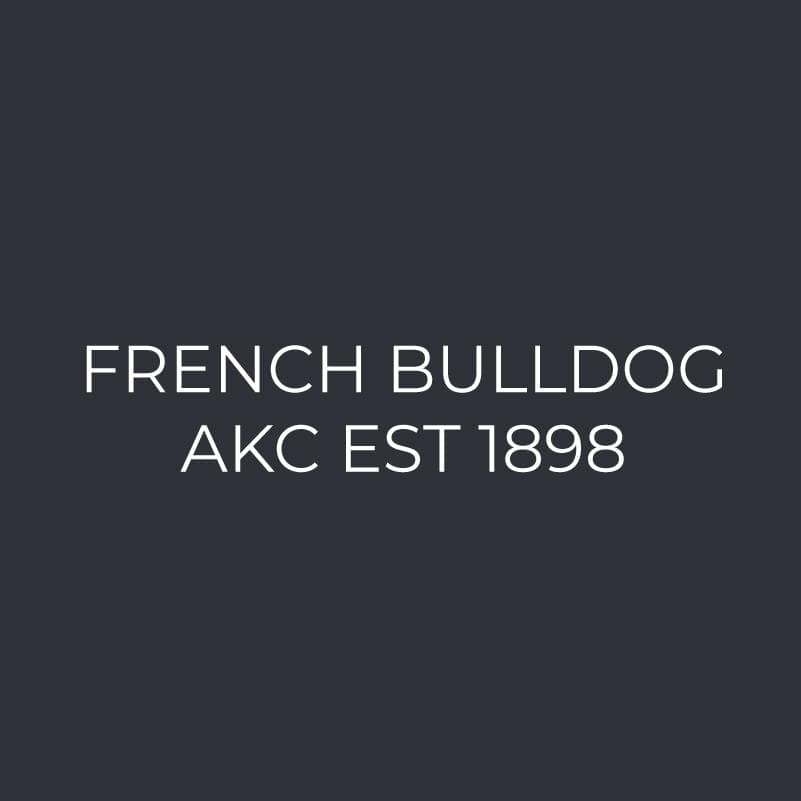 French Bulldog Embroidered AKC Men's Polo - Image 6