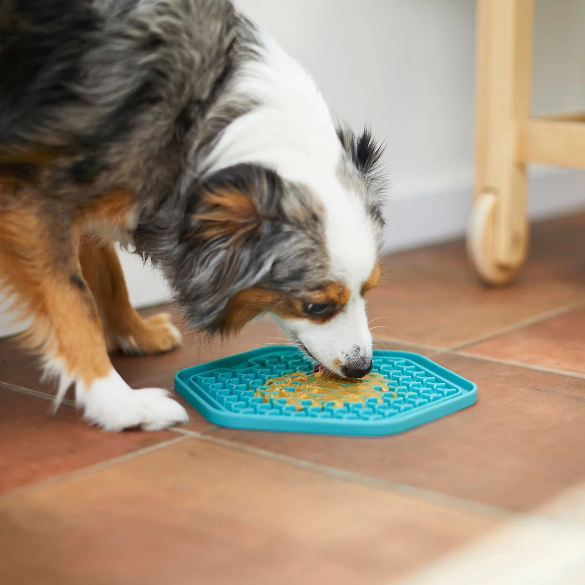 Frisco Silicone Treat Lick Mat, 2 count - Image 4