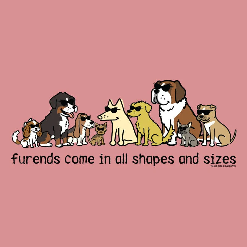 Furends Come in All Shapes and Sizes - Ladies T-Shirt V-Neck - Image 2