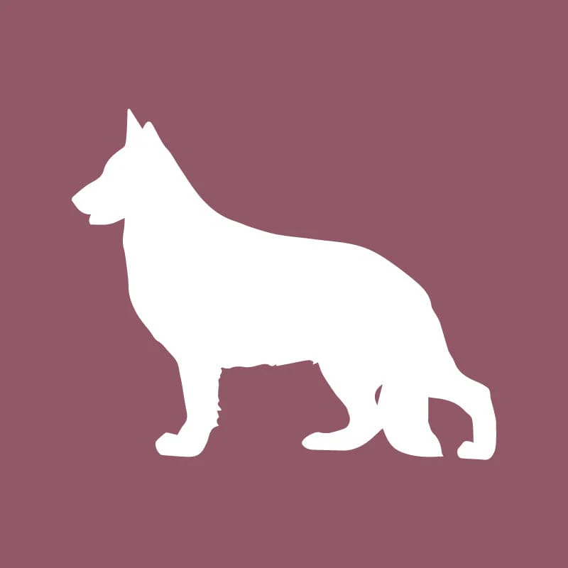 German Shepherd Dog Beanie - Image 2