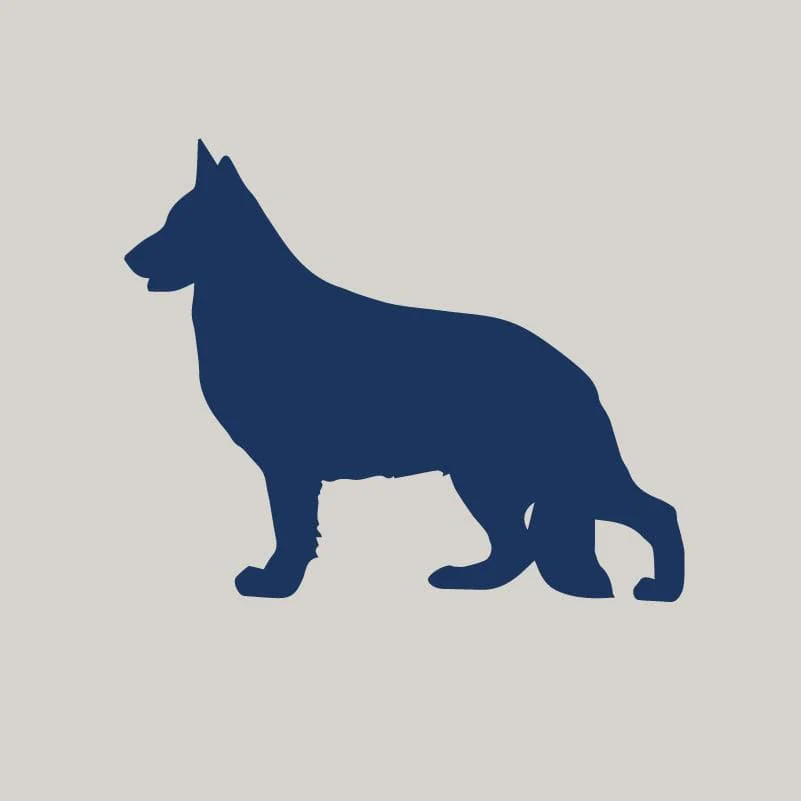 German Shepherd Dog AKC Embroidered Visor - Image 6
