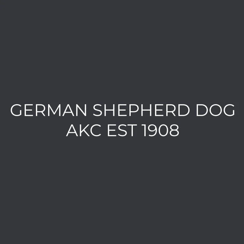 German Shepherd Dog Embroidered AKC Men's Polo - Image 3