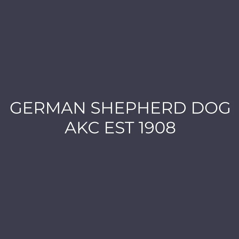 German Shepherd Dog Embroidered AKC Men's Polo - Image 9