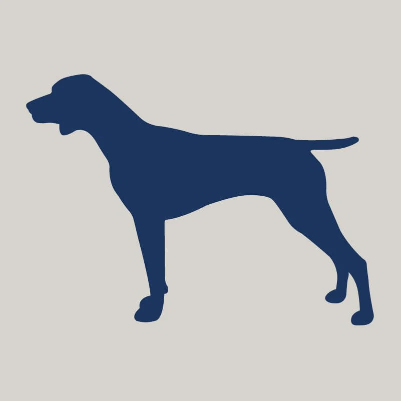 German Shorthaired Pointer AKC Embroidered Visor - Image 2