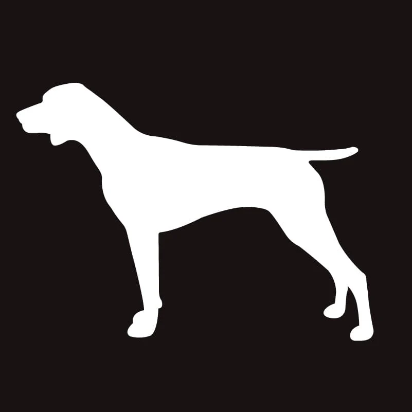 German Shorthaired Pointer AKC Embroidered Visor - Image 6