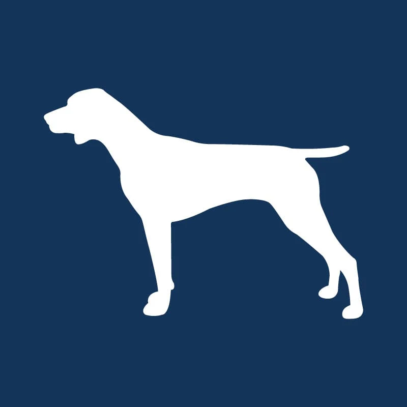 German Shorthaired Pointer AKC Embroidered Visor - Image 8