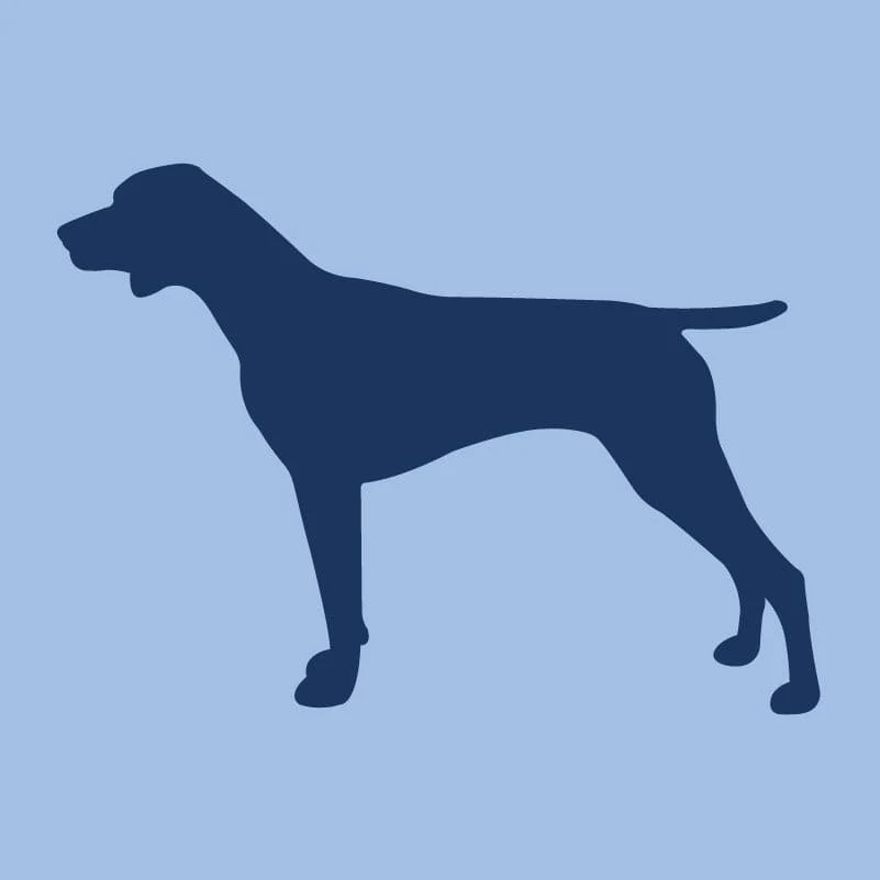 German Shorthaired Pointer - Children's Full Zip Sweatshirt - Image 2