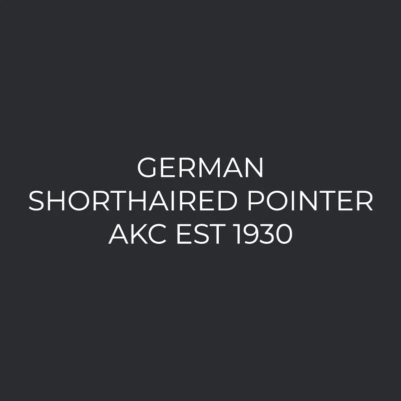 German Shorthaired Pointer Embroidered AKC Women's Polo - Image 6