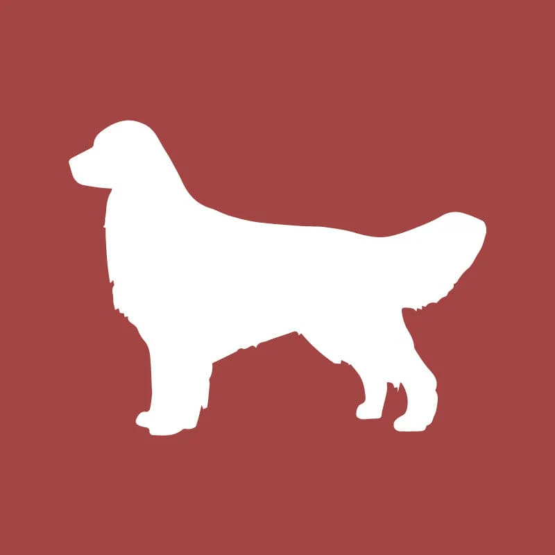 Golden Retriever Embroidered AKC Quarter Zip - Image 11