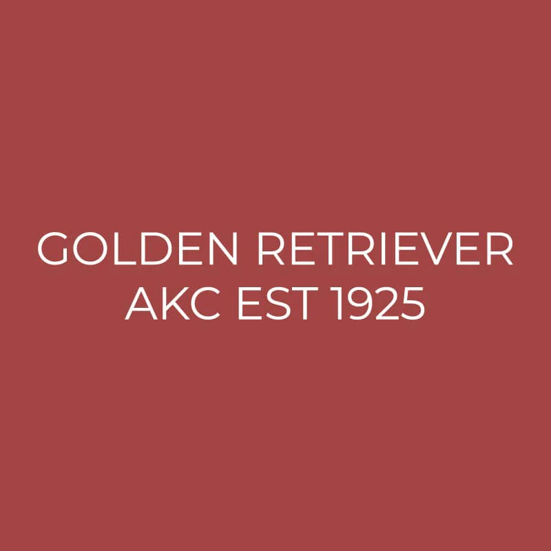 Golden Retriever Embroidered AKC Quarter Zip - Image 12