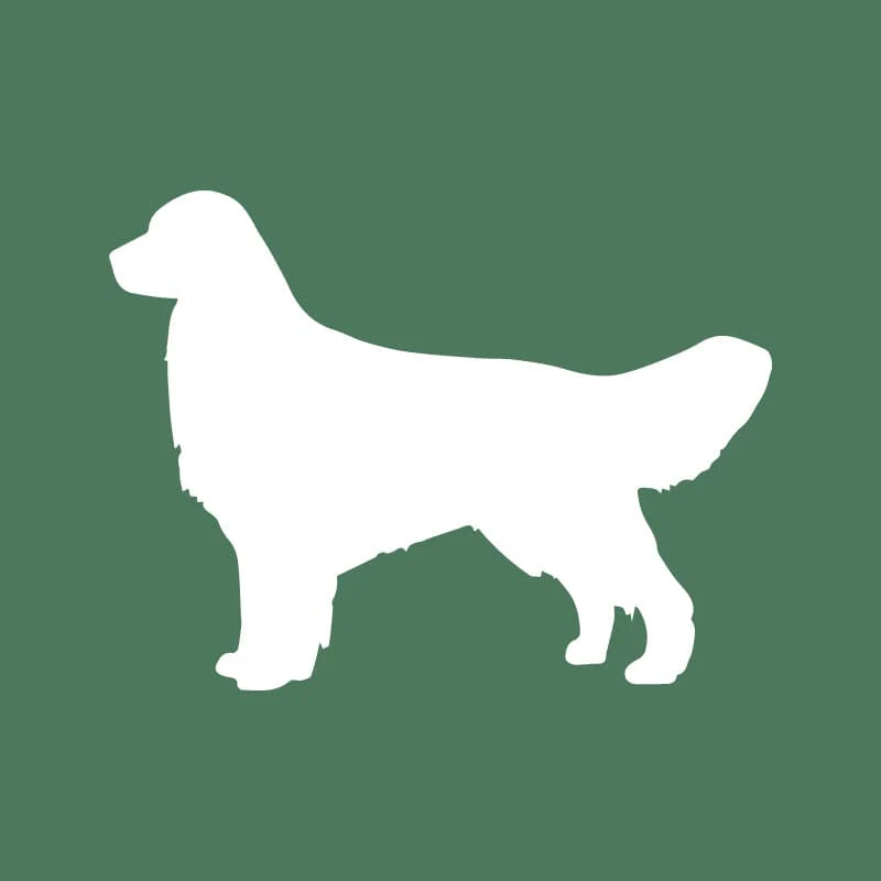Golden Retriever Embroidered AKC Quarter Zip - Image 14