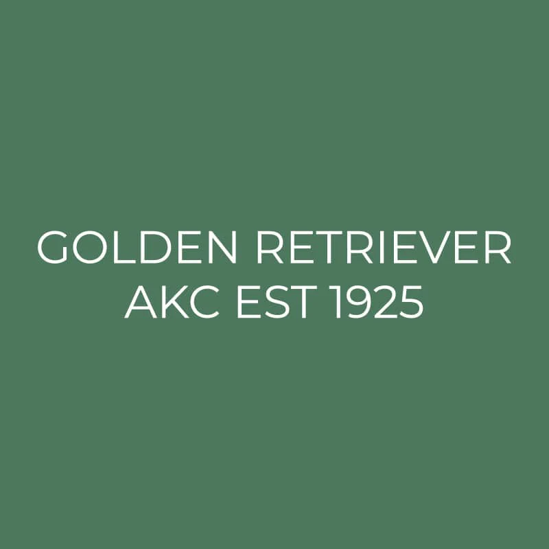 Golden Retriever Embroidered AKC Quarter Zip - Image 15