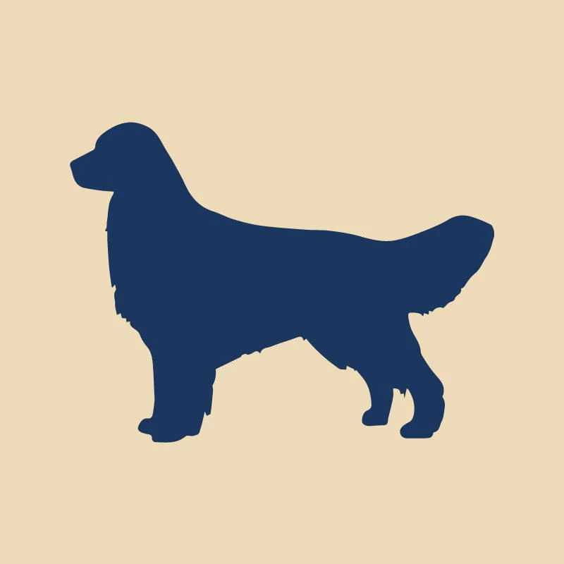 Golden Retriever Embroidered AKC Quarter Zip - Image 17