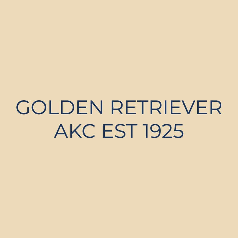 Golden Retriever Embroidered AKC Quarter Zip - Image 18