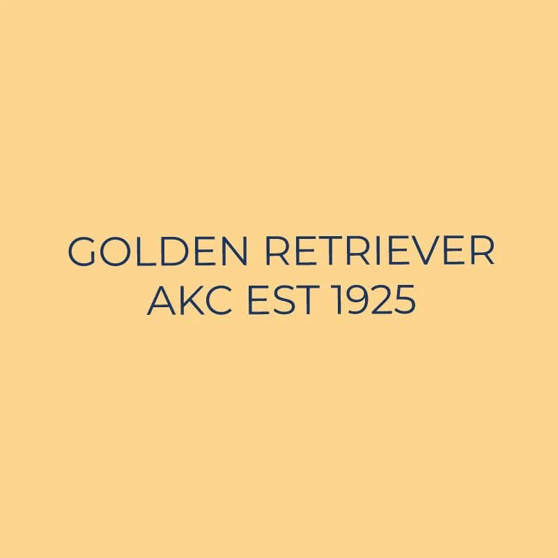 Golden Retriever Embroidered AKC Quarter Zip - Image 3