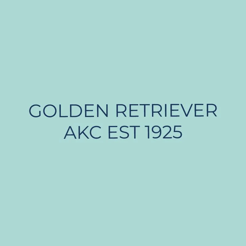 Golden Retriever Embroidered AKC Quarter Zip - Image 6