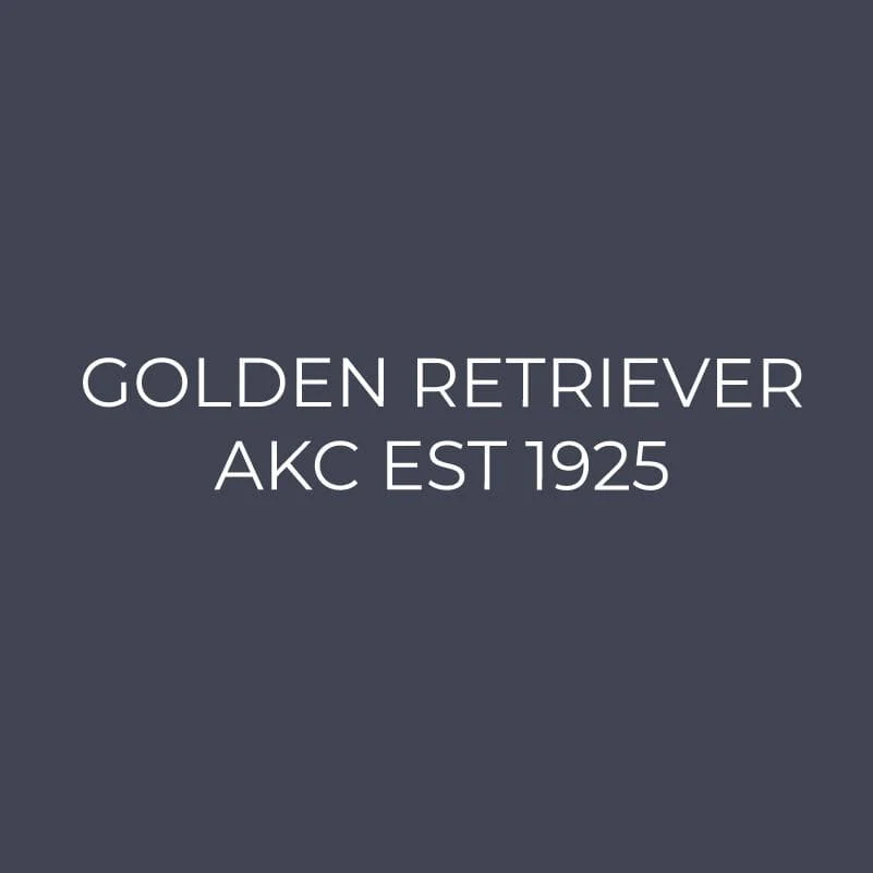 Golden Retriever Embroidered AKC Quarter Zip - Image 9