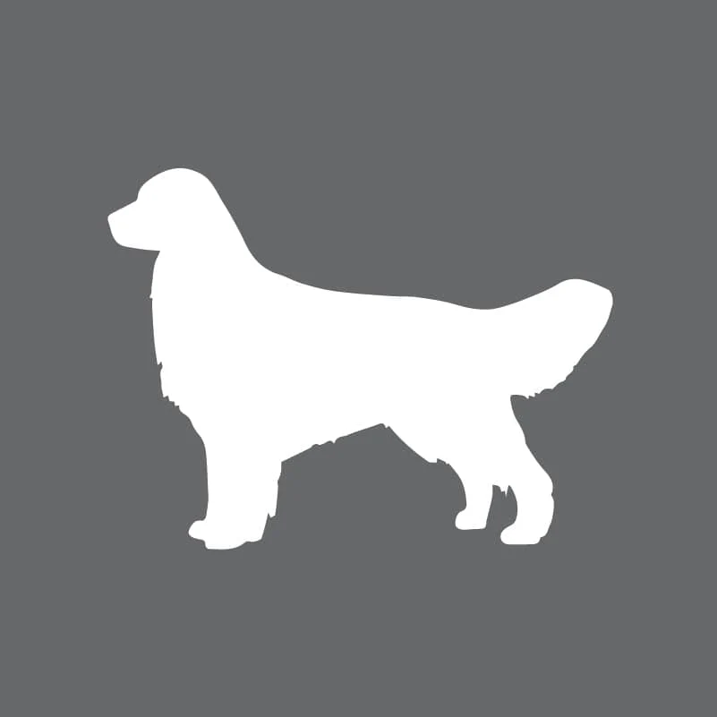 Golden Retriever Children's Full Zip Sweatshirt - Image 3