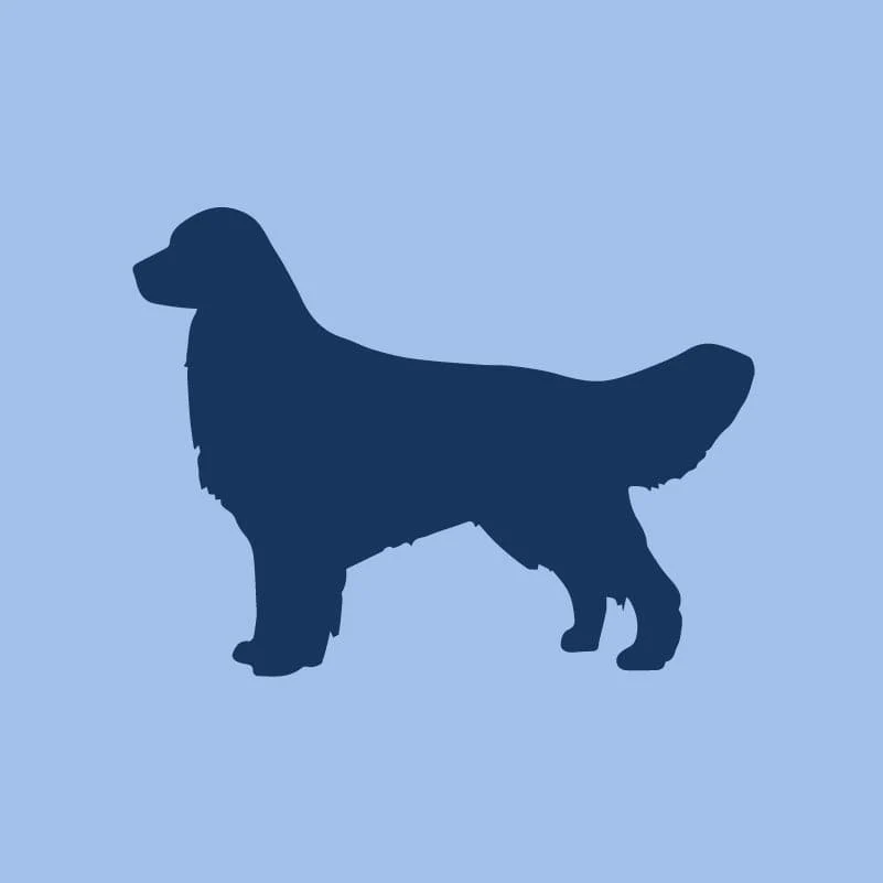 Golden Retriever Children's Full Zip Sweatshirt - Image 4