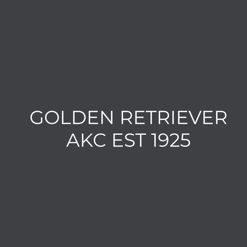 Golden Retriever Embroidered AKC Women's Polo - Image 7
