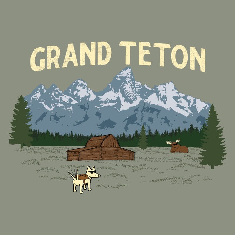 Grand Teton  - Ladies Curvy V-Neck Tee - Image 2