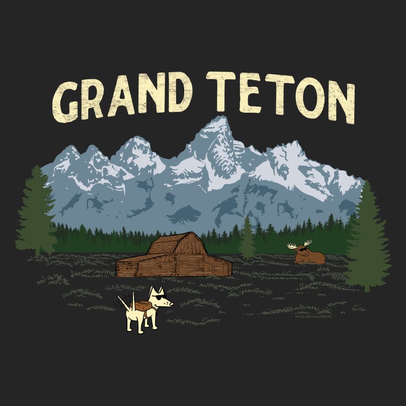 Grand Teton  - Ladies T-Shirt V-Neck - Image 4