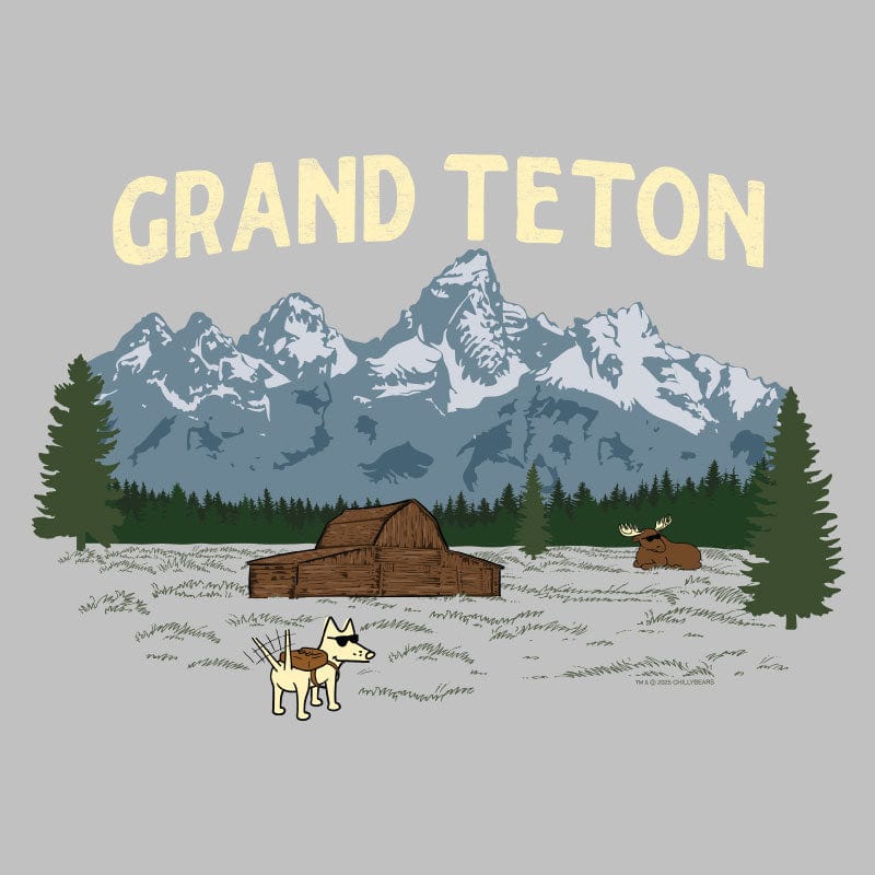 Grand Teton - Lightweight Tee - Image 5