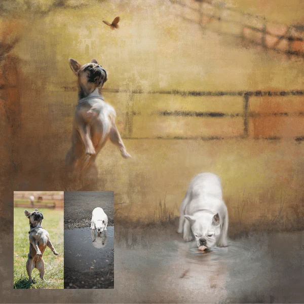 Hand-Painted Pet Portrait - Image 3