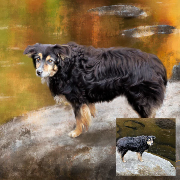 Hand-Painted Pet Portrait - Image 4