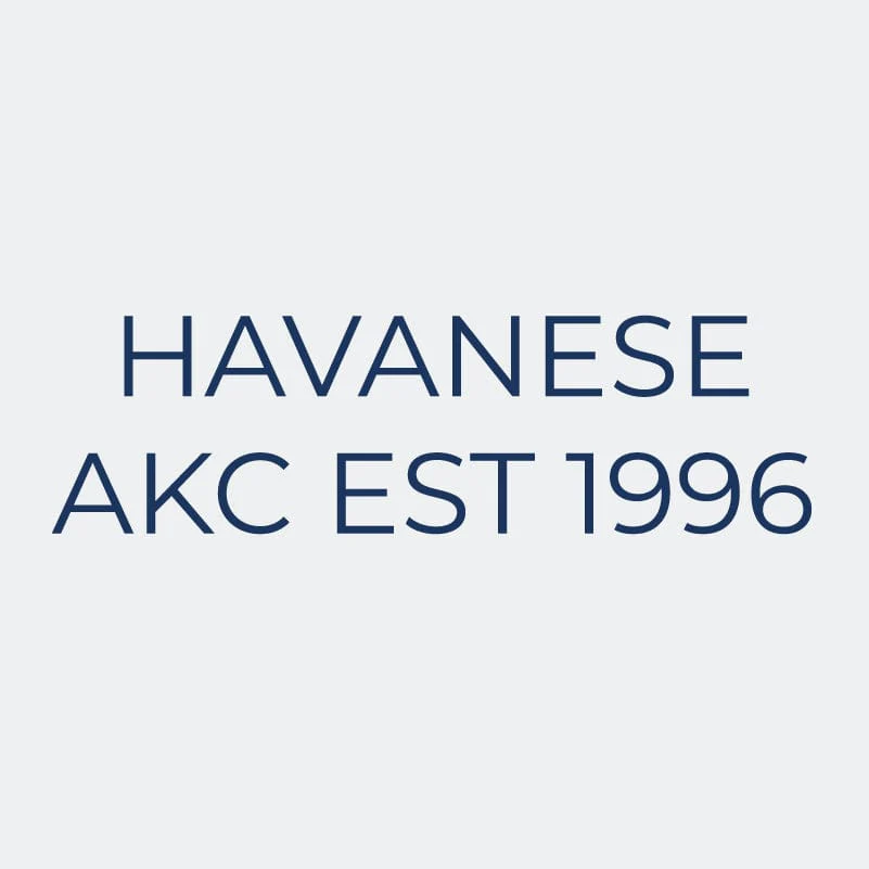 Havanese Embroidered AKC Women's Polo - Image 9