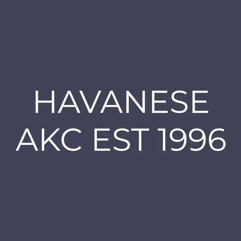 Havanese Embroidered AKC Quarter Zip - Image 12